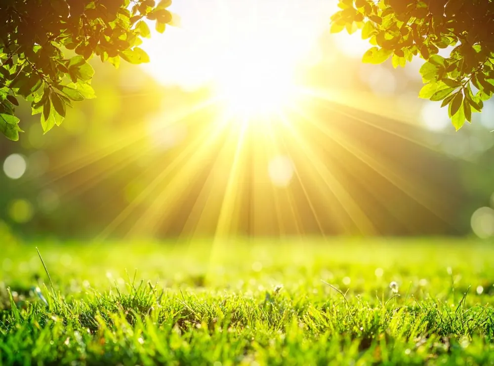 Person genießt Sonnenlicht mit geschlossenen Augen